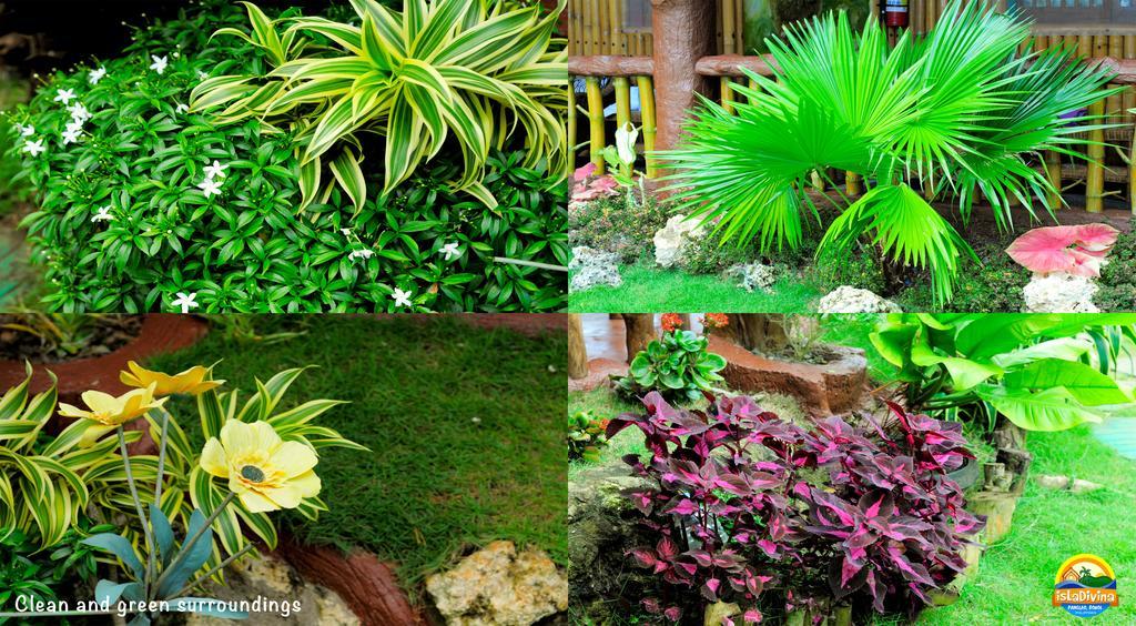 Reddoorz Plus @ Sla Divina Panglao Bohol ภายนอก รูปภาพ